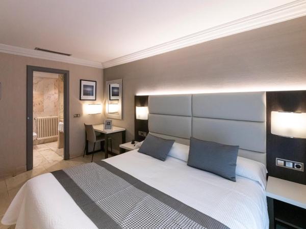 Habitus Hotel Europa : photo 2 de la chambre chambre double ou lits jumeaux avec balcon