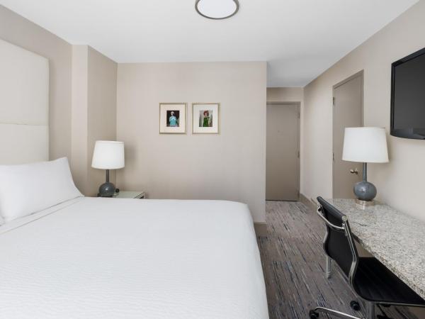 Holiday Inn Express Chicago - Magnificent Mile, an IHG Hotel : photo 4 de la chambre chambre lit queen-size - non-fumeurs