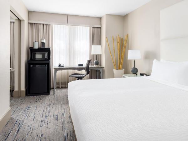 Holiday Inn Express Chicago - Magnificent Mile, an IHG Hotel : photo 3 de la chambre suite lit king-size – non-fumeurs