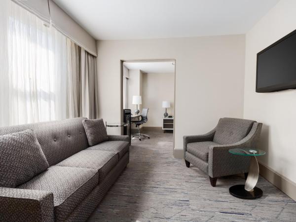 Holiday Inn Express Chicago - Magnificent Mile, an IHG Hotel : photo 4 de la chambre suite lit king-size – non-fumeurs