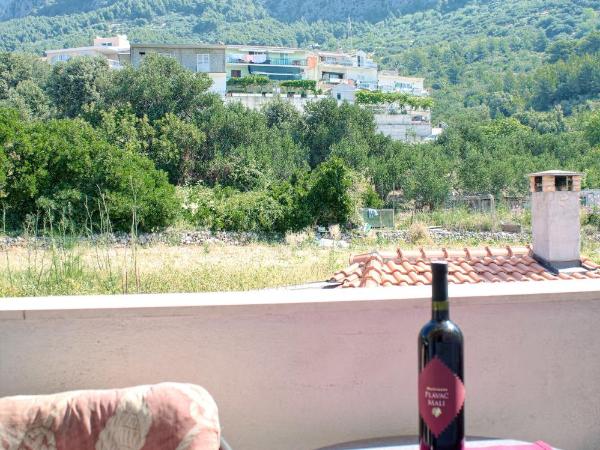 Apartments Dani : photo 5 de la chambre appartement avec vue sur la montagne