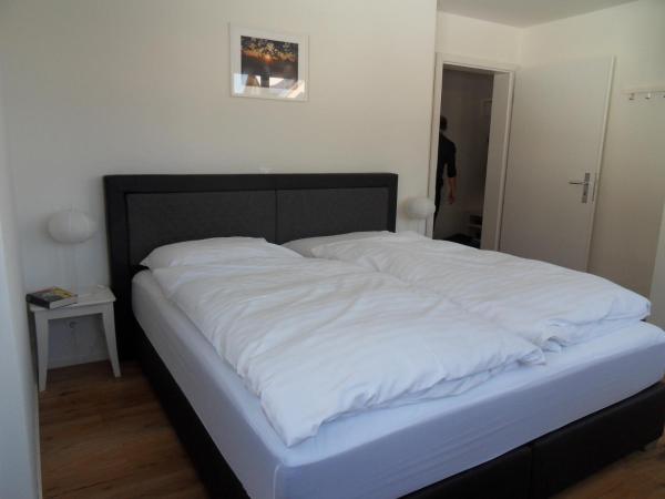 Hotel Silberhorn - Residences & Spa Wengen : photo 5 de la chambre appartement silverpeak