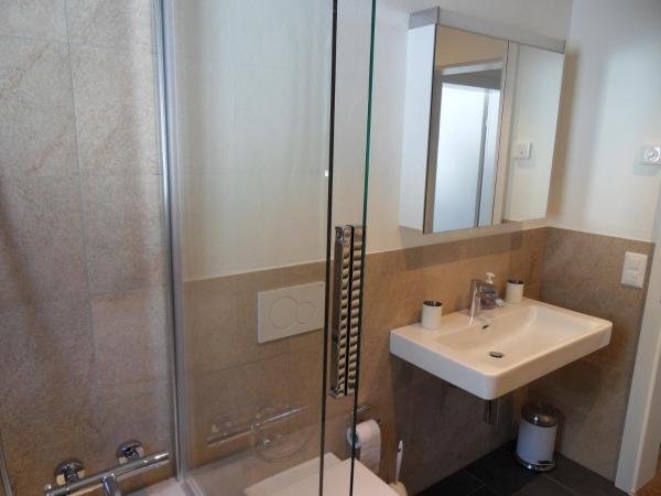 Hotel Silberhorn - Residences & Spa Wengen : photo 8 de la chambre appartement silverpeak