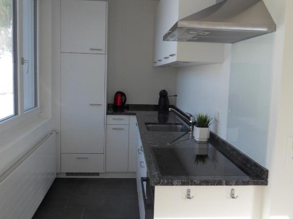 Hotel Silberhorn - Residences & Spa Wengen : photo 10 de la chambre appartement silverpeak