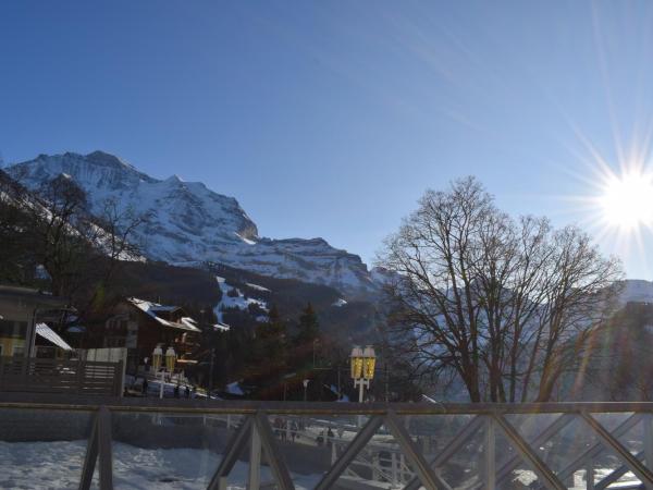 Hotel Silberhorn - Residences & Spa Wengen : photo 4 de la chambre appartement - vue sur la jungfrau