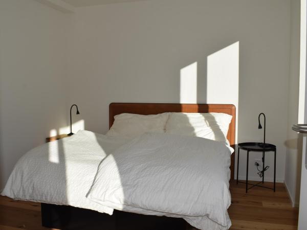 Hotel Silberhorn - Residences & Spa Wengen : photo 10 de la chambre appartement - vue sur la jungfrau