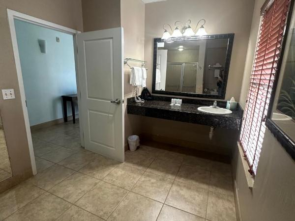 Tahitian Inn Boutique Hotel Tampa : photo 3 de la chambre chambre lit king-size - accessible aux personnes à mobilité réduite