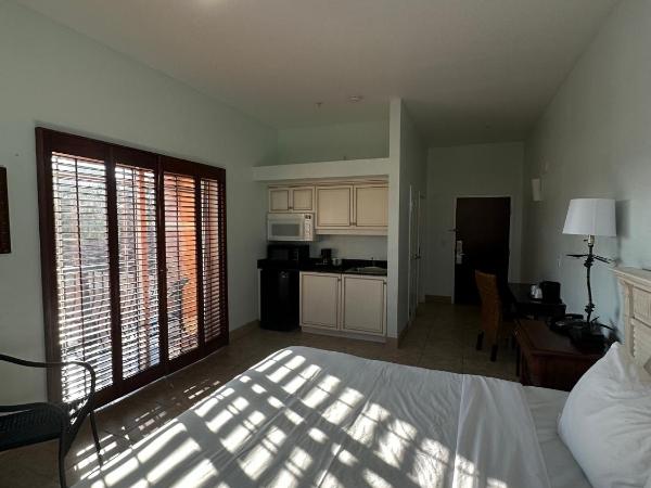 Tahitian Inn Boutique Hotel Tampa : photo 2 de la chambre chambre lit king-size - accessible aux personnes à mobilité réduite