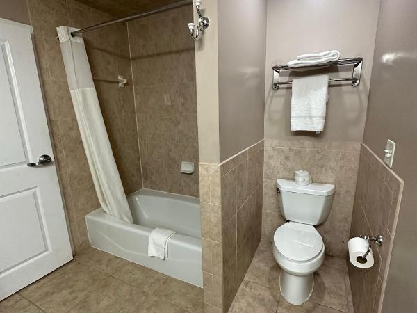 Tahitian Inn Boutique Hotel Tampa : photo 4 de la chambre suite lit king-size