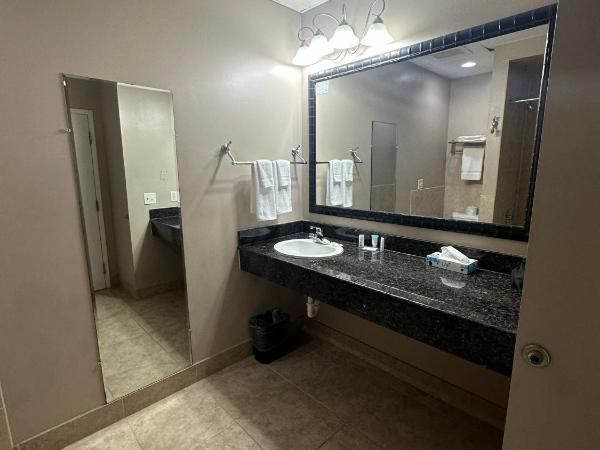 Tahitian Inn Boutique Hotel Tampa : photo 3 de la chambre suite lit king-size