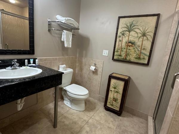 Tahitian Inn Boutique Hotel Tampa : photo 6 de la chambre suite 1 chambre