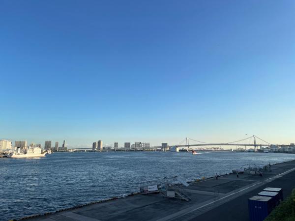 Bayside Hotel Azur Takeshiba : photo 3 de la chambre chambre simple - vue sur océan - fumeurs 
