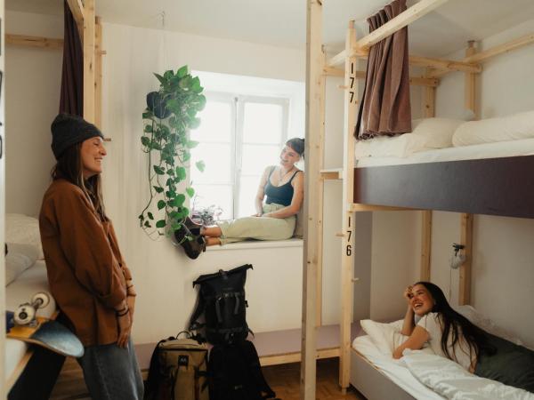 Montagu Hostel : photo 1 de la chambre single bed in 7 bed female dormitory room 