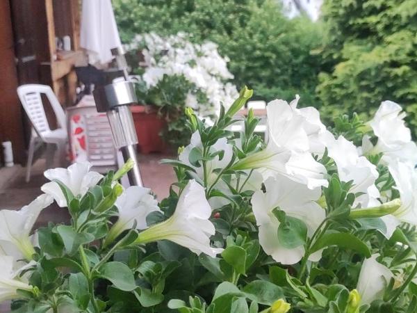 TellaHouse : photo 3 de la chambre chambre double - vue sur jardin