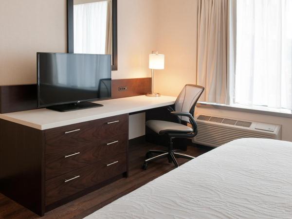 Hilton Garden Inn Pittsburgh Downtown : photo 4 de la chambre chambre lit king-size avec douche accessible en fauteuil roulant - adaptée aux personnes à mobilité réduite