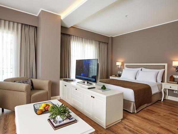 Renata Boutique Hotel Sisli : photo 6 de la chambre chambre double supérieure