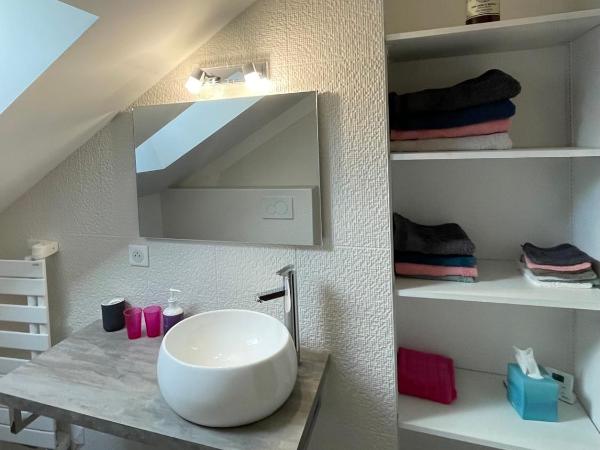 Le jardin des Vérottes : photo 10 de la chambre chambre double avec salle de bains privative