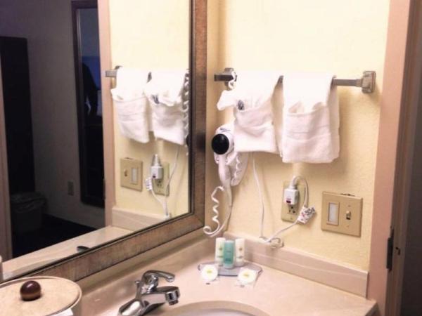 Comfort Inn & Suites FtJackson Maingate : photo 7 de la chambre chambre lit king-size - non-fumeurs