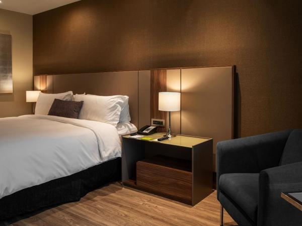 Camino Real Fashion Drive Monterrey : photo 9 de la chambre hébergement lit king-size supérieur deluxe