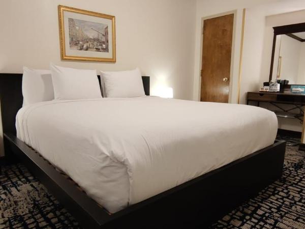 Night Hotel Broadway : photo 1 de la chambre gold, 1 full bed