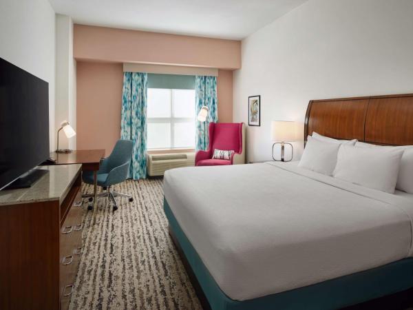 Hilton Garden Inn Atlanta Midtown : photo 4 de la chambre chambre lit king-size