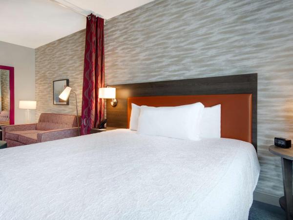 Home2 Suites By Hilton Las Vegas North : photo 5 de la chambre suite studio lit king-size
