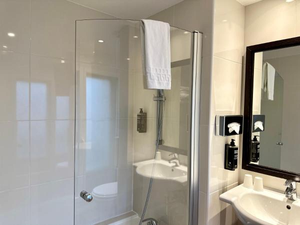 Ibis Styles Metz Centre Gare : photo 8 de la chambre chambre double standard