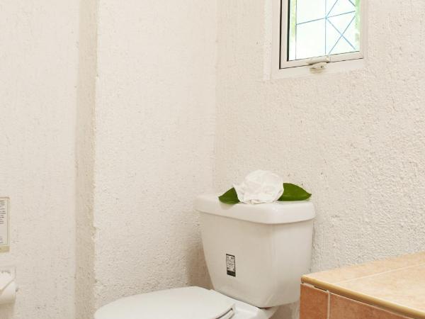 Eco-hotel El Rey del Caribe : photo 4 de la chambre chambre double avec 2 lits doubles