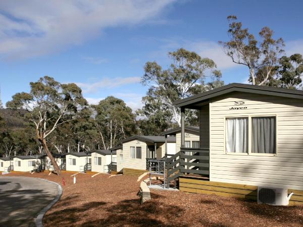 Alivio Tourist Park Canberra : photo 1 de la chambre woodland cabin (1 bedroom)