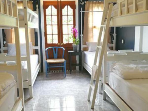 Bed in Town : photo 4 de la chambre lit superposé dans dortoir mixte