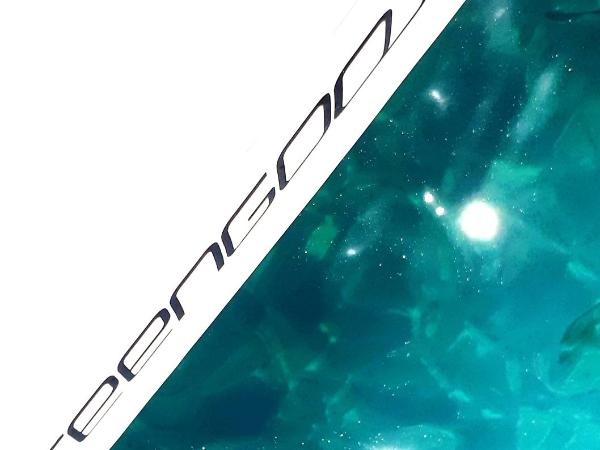 Greengoose : photo 6 de la chambre mobile home