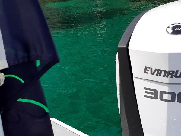 Greengoose : photo 8 de la chambre mobile home