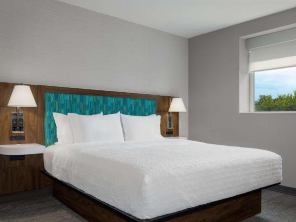 Hampton Inn & Suites by Hilton Toronto Downtown : photo 4 de la chambre suite studio lit king-size - vue sur parc