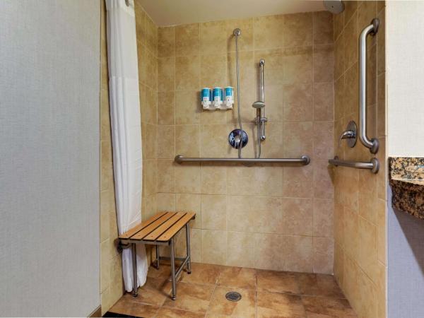 Drury Inn & Suites Phoenix Airport : photo 5 de la chambre chambre lit king-size avec canapé-lit et terrasse - adaptée aux personnes malentendantes