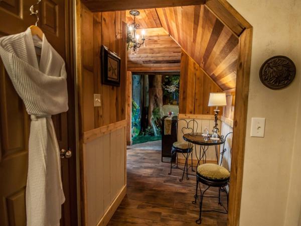 The Anniversary Inn - South Temple : photo 7 de la chambre chambre supérieure lit queen-size