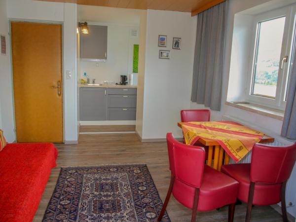 Hotel Sonnenhof - bed & breakfast & appartements : photo 6 de la chambre studio - vue sur montagne