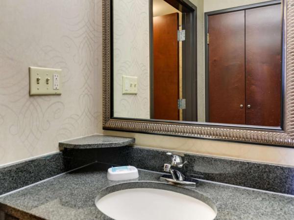 Drury Plaza Hotel New Orleans : photo 4 de la chambre chambre deluxe avec 2 lits queen-size