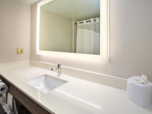 Holiday Inn Express Nashville Airport, an IHG Hotel : photo 4 de la chambre chambre standard