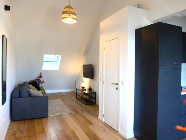 Charm of Antwerp Residences : photo 1 de la chambre appartement avec terrasse