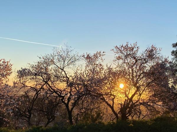 La Suite Sainte Claire : photo 6 de la chambre suite