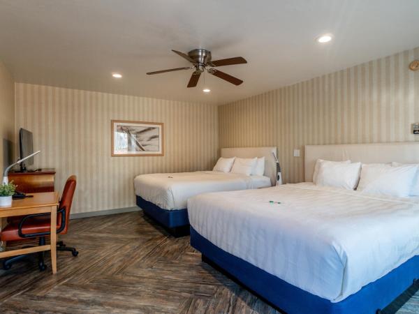 The Wharf Inn : photo 3 de la chambre premium room, two king beds