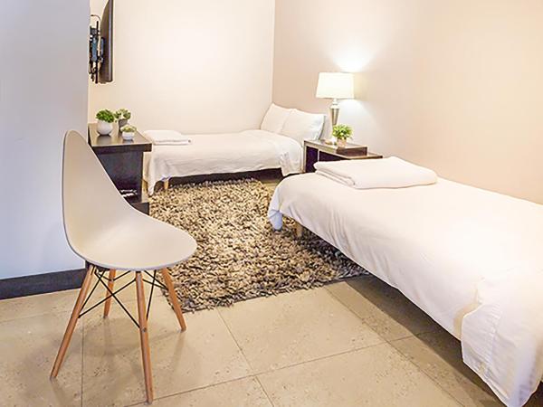 Laviu B&B Luxe Suites : photo 3 de la chambre nevado de toluca ( family room) 