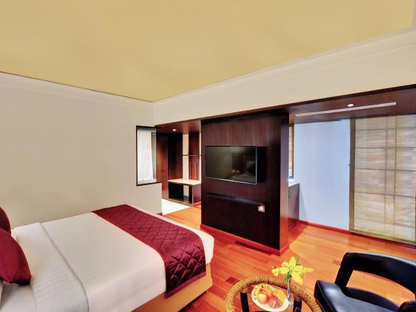 Iris The Business Hotel : photo 7 de la chambre club iris room