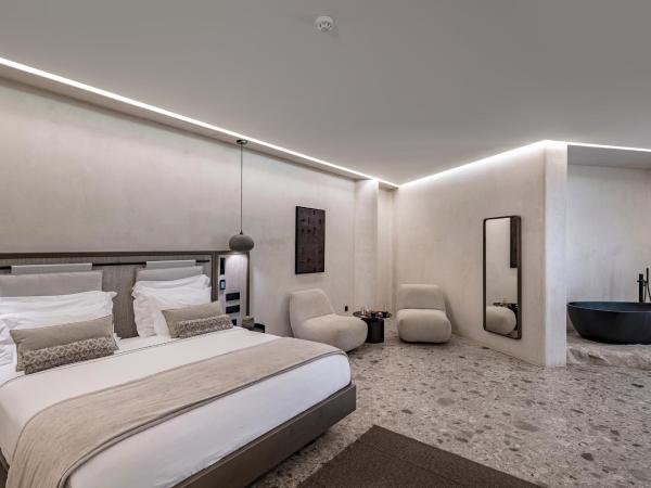 Aeonic Suites and Spa : photo 9 de la chambre suite eternal avec piscine suprême