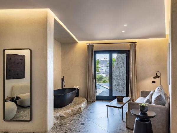 Aeonic Suites and Spa : photo 7 de la chambre suite eternal avec piscine suprême