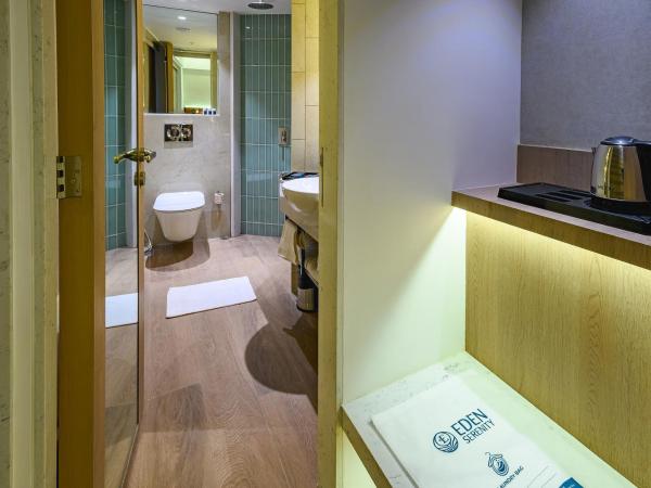 Hotel Eden Serenity : photo 4 de la chambre silver room 