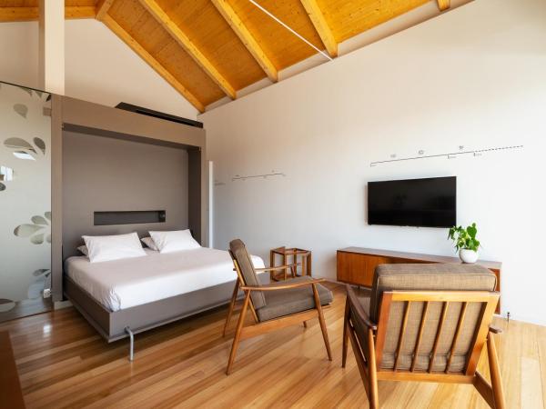 Pensao O Laranjeira : photo 4 de la chambre studio avec terrasse