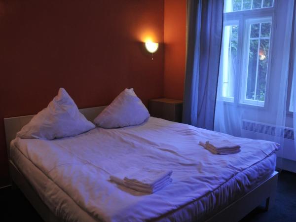 Hotelové Pokoje Kolčavka : photo 1 de la chambre chambre double standard