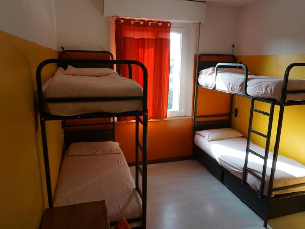 Sunflower City Student Hostel & Bar : photo 1 de la chambre chambre quadruple avec salle de bains privative