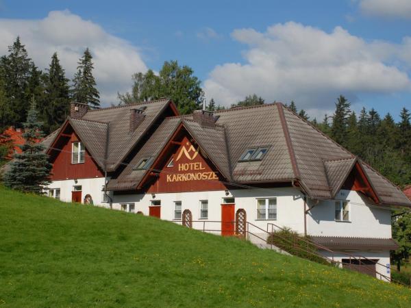 Hotel Karkonosze : photo 3 de la chambre appartement 3 chambres (6 adultes)